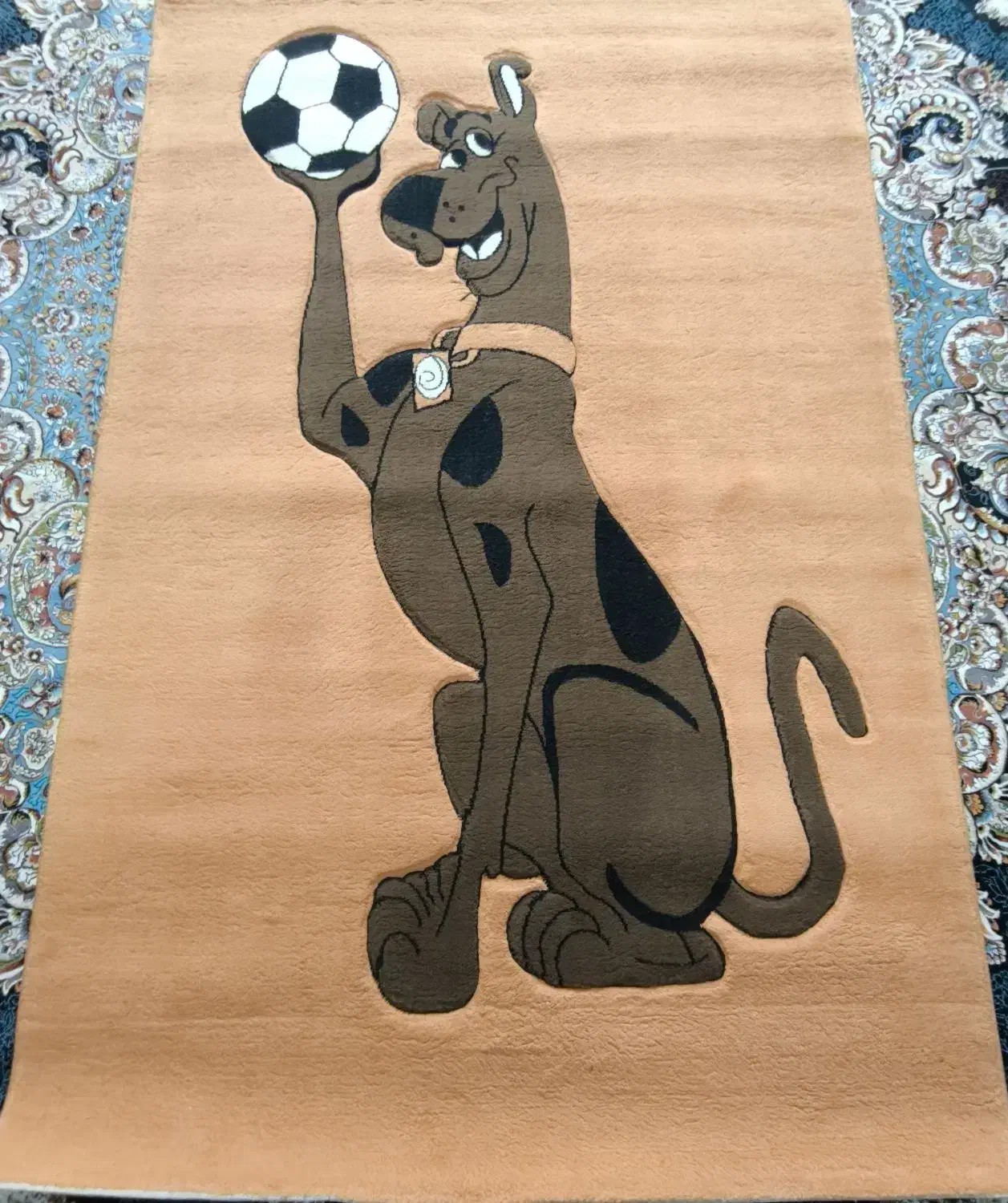 فرش 6متری|فرش|بندرعباس, |دیوار