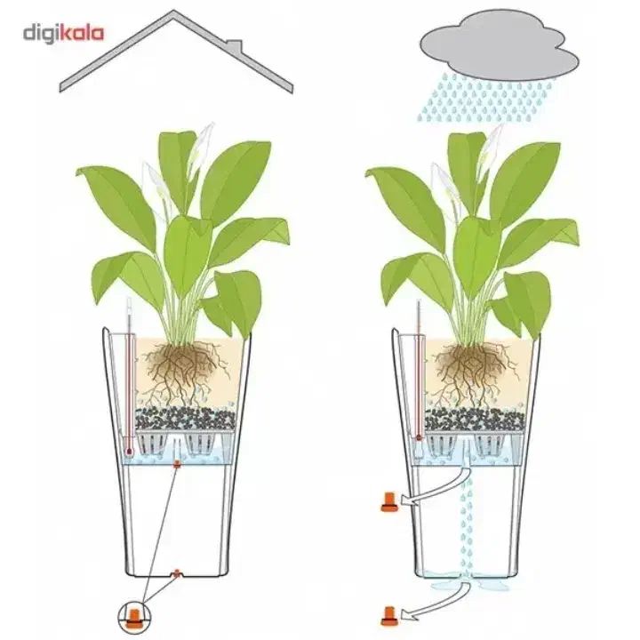 گلدان لچوزا مدل Delta 40 ارتفاع 75.5 سانتی متر|گل و گیاه طبیعی|لار, |دیوار