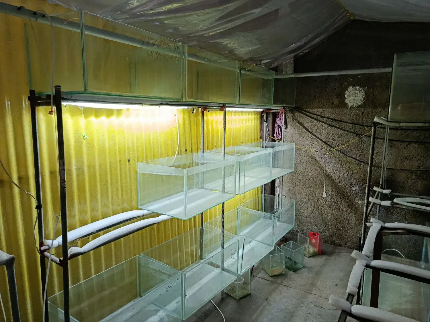 آکواریوم شیشه تانک .و وان 400لیتری|ماهی|پاکدشت, خاتون آباد|دیوار