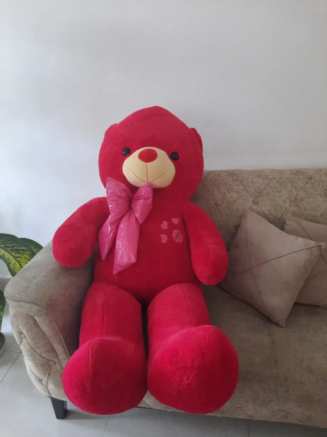 عروسک خرس|اسباب‌‌بازی|ماکو, |دیوار