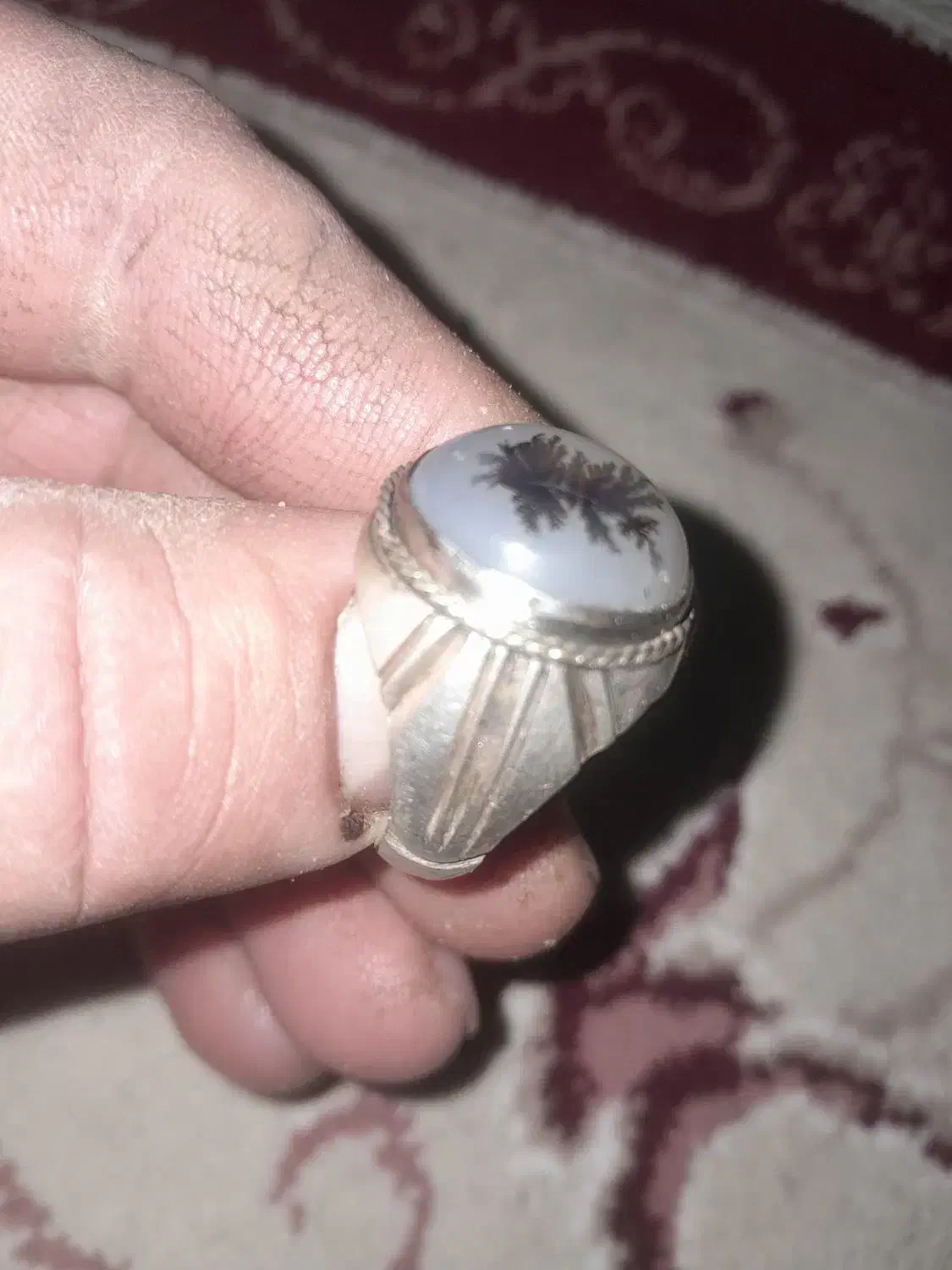 شجر|جواهرات|تربت‌حیدریه, باغ ملی|دیوار