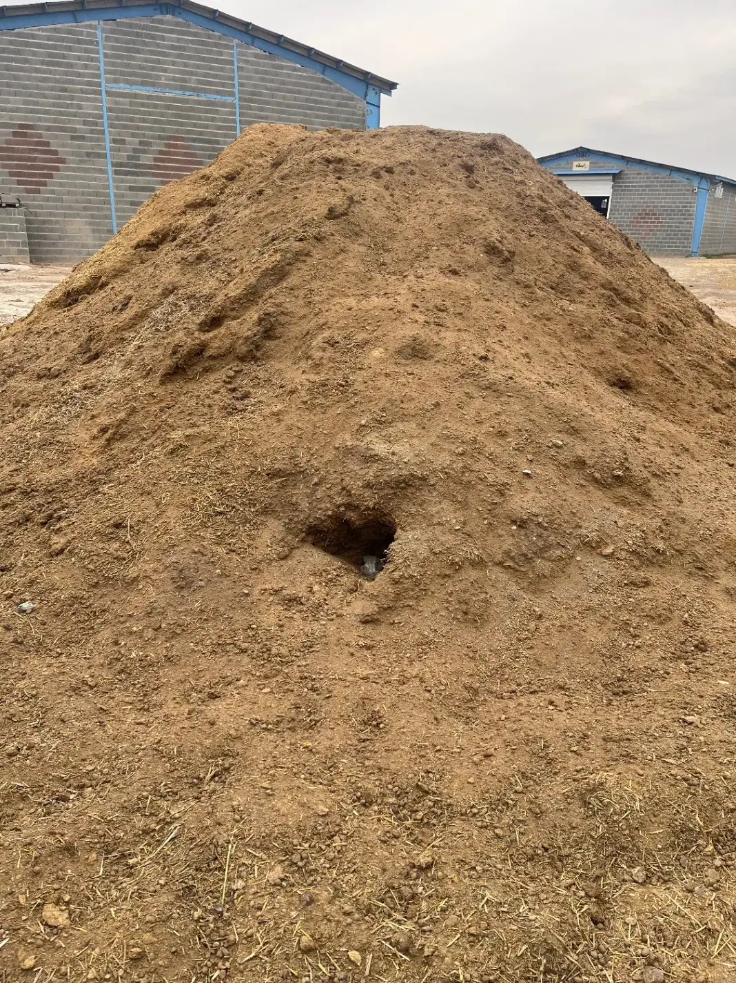 پهن گوسفندی الک شده. ( کود گوسفندی)|خدمات باغبانی و درختکاری|نمین, |دیوار