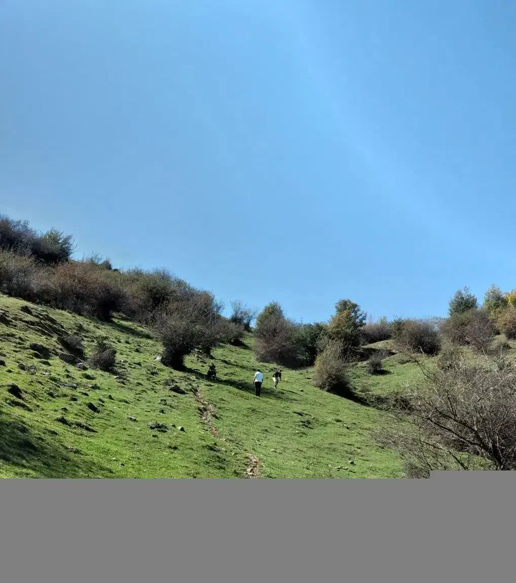 زمین دو قطعه|فروش زمین و ملک کلنگی|راین, |دیوار