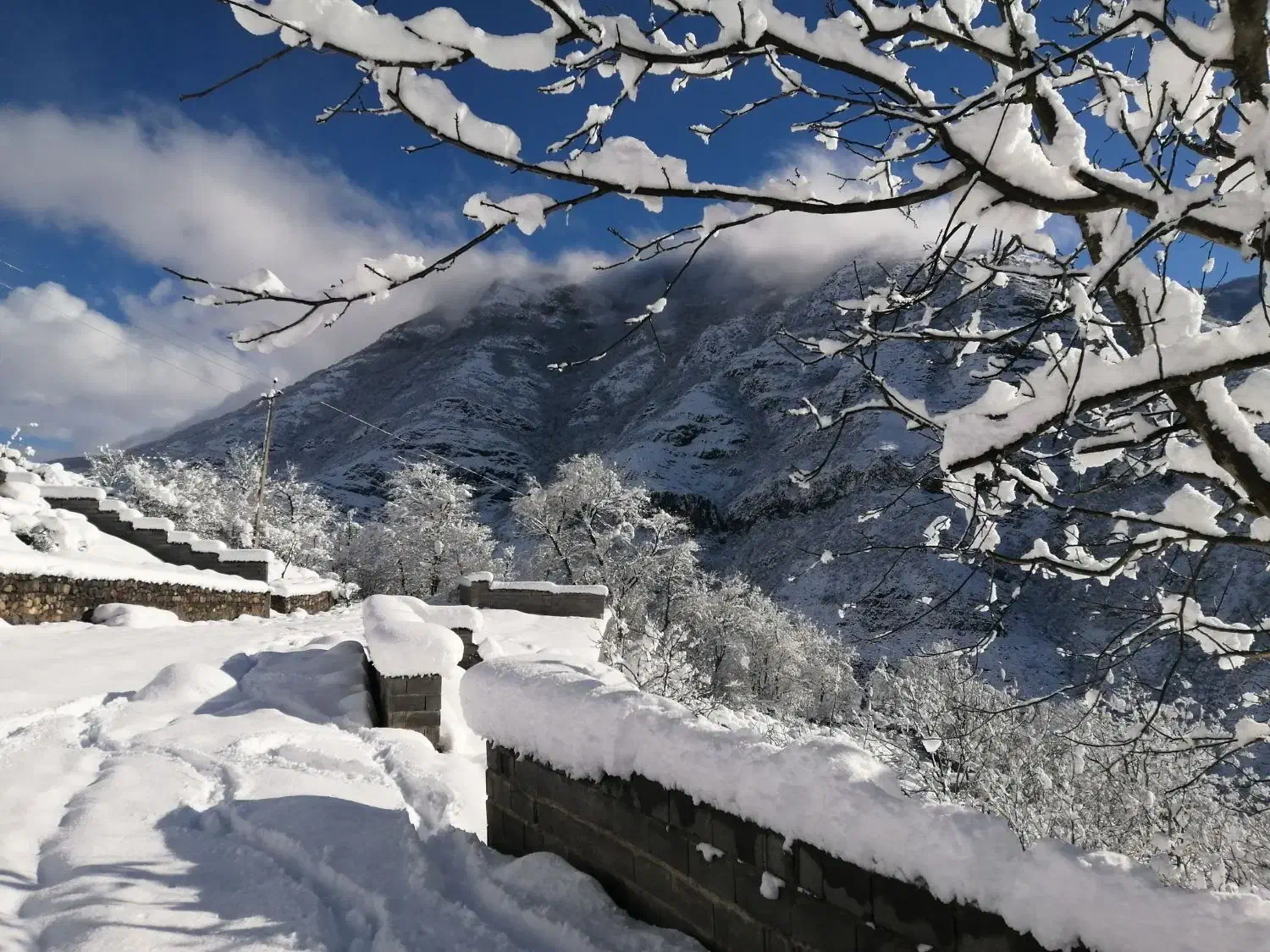 اخذ سندتک برگ.|خدمات مالی، حسابداری، بیمه|مرزنآباد, |دیوار