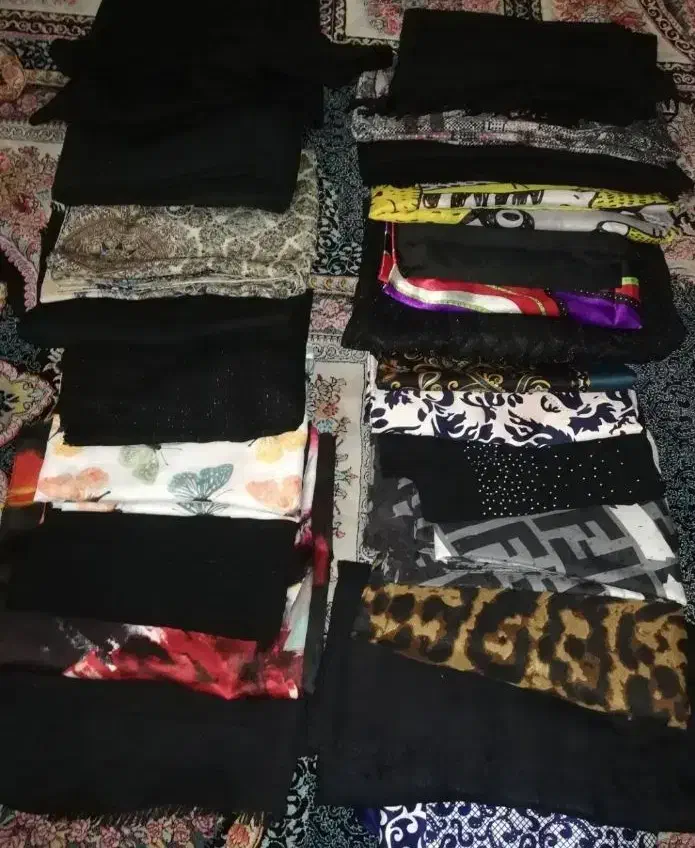 گربه|گربه|اسلام‌شهر, شهرک احمدیه|دیوار