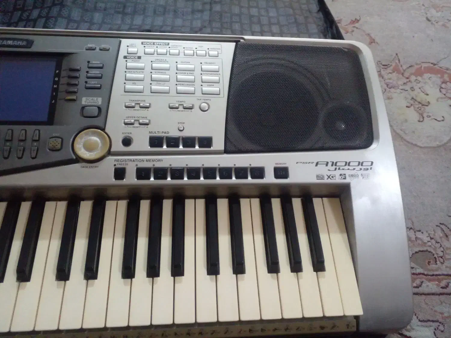 ارگ A1000|پیانو، کیبورد، آکاردئون|بندرعباس, |دیوار