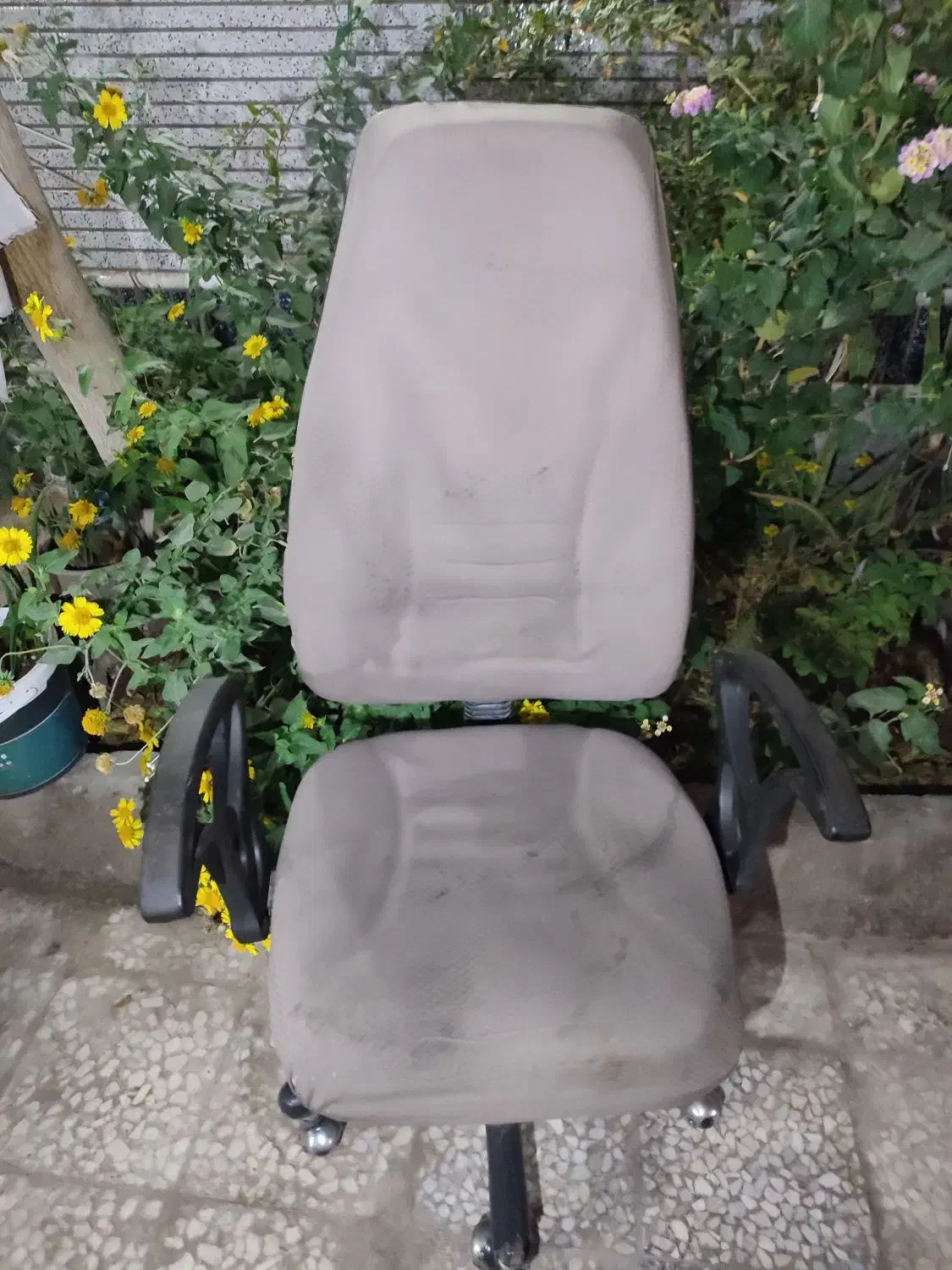 صندلی چرخ دار|صندلی و نیمکت|زاهدان, |دیوار