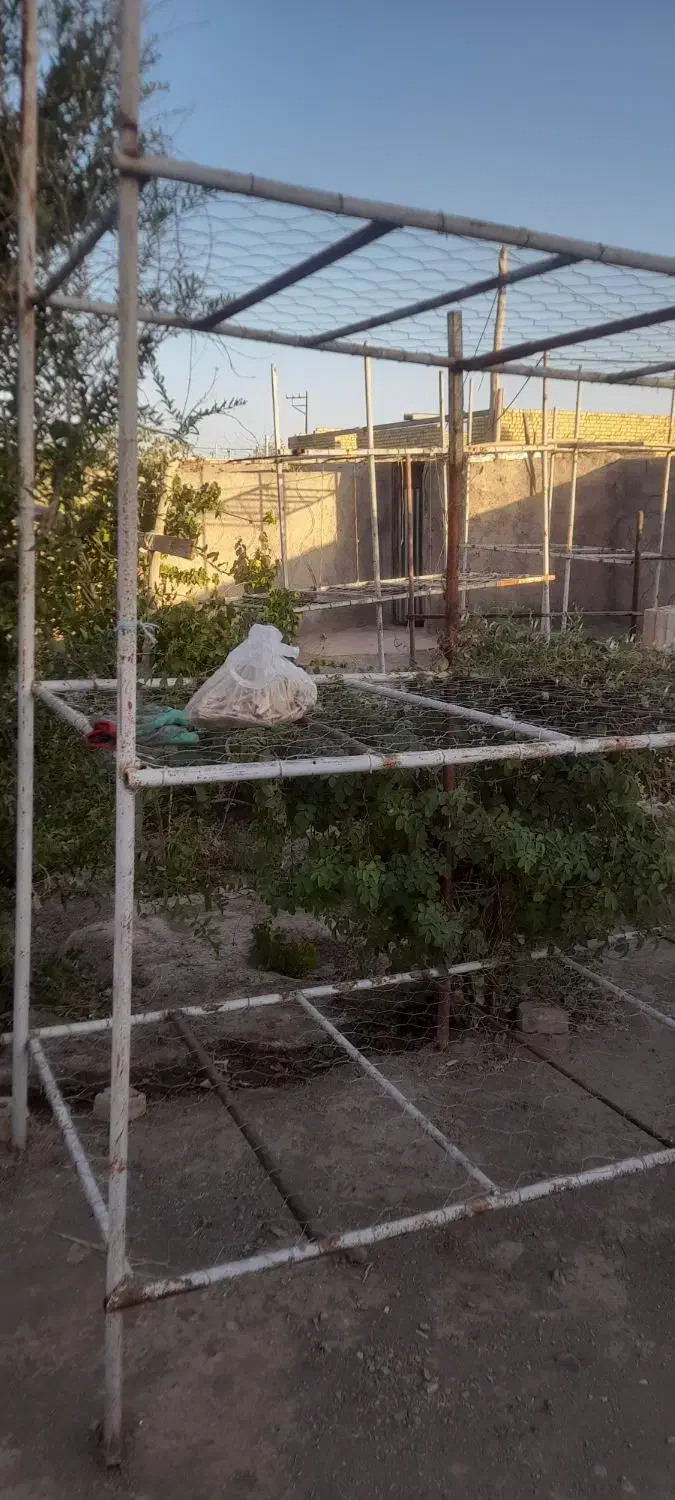 دستگاه پرورش قارچ و قفسه|فروشگاه و مغازه|عطاملک, |دیوار