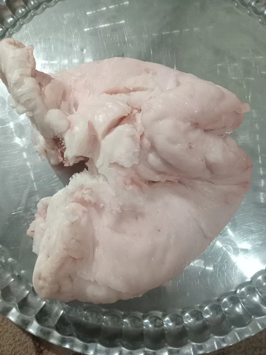 دنبه بره یک تیکه|خوردنی و آشامیدنی|شیروان (خراسان), |دیوار