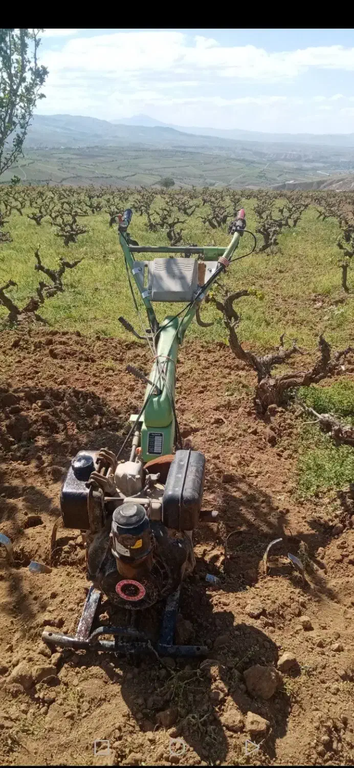 تیلر فروشی|خدمات باغبانی و درختکاری|بجنورد, |دیوار