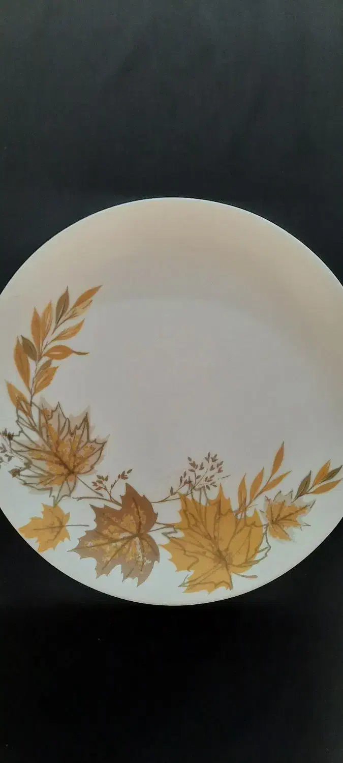 پلو خوری ملامین|ظروف سرو و پذیرایی|تهران, خزانه|دیوار