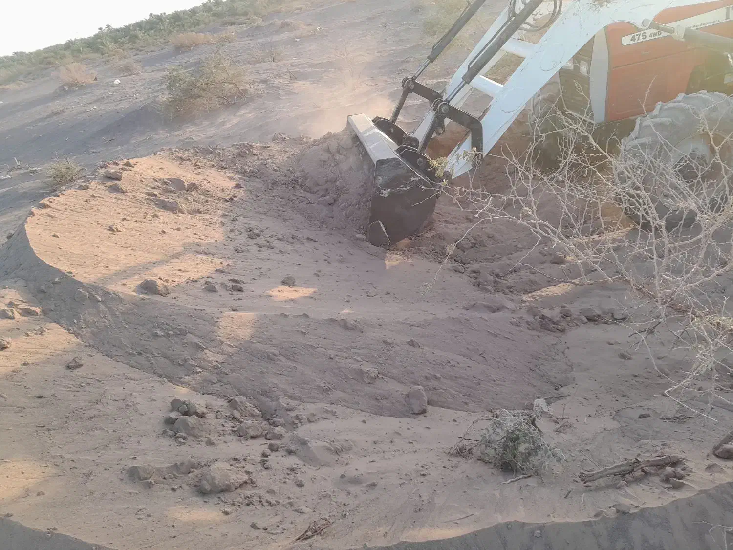 بادروف مرغوب از بیابان های نرماشیر برای کشاورزان|خدمات باغبانی و درختکاری|بم, |دیوار