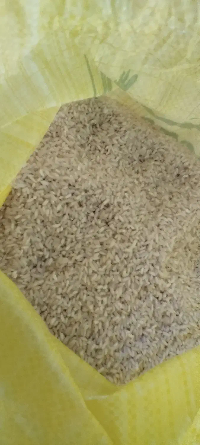 برنج عنبر خوزستان شعیبیه شوشتر|خوردنی و آشامیدنی|کارون, |دیوار