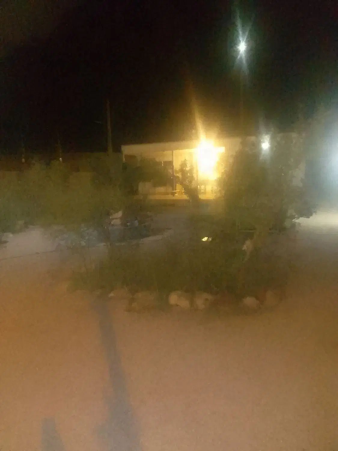 اجاره منزل سوئیت واقع درشهردیهوک|اجارهٔ کوتاهمدت ویلا و باغ|فردوس (خراسان), |دیوار