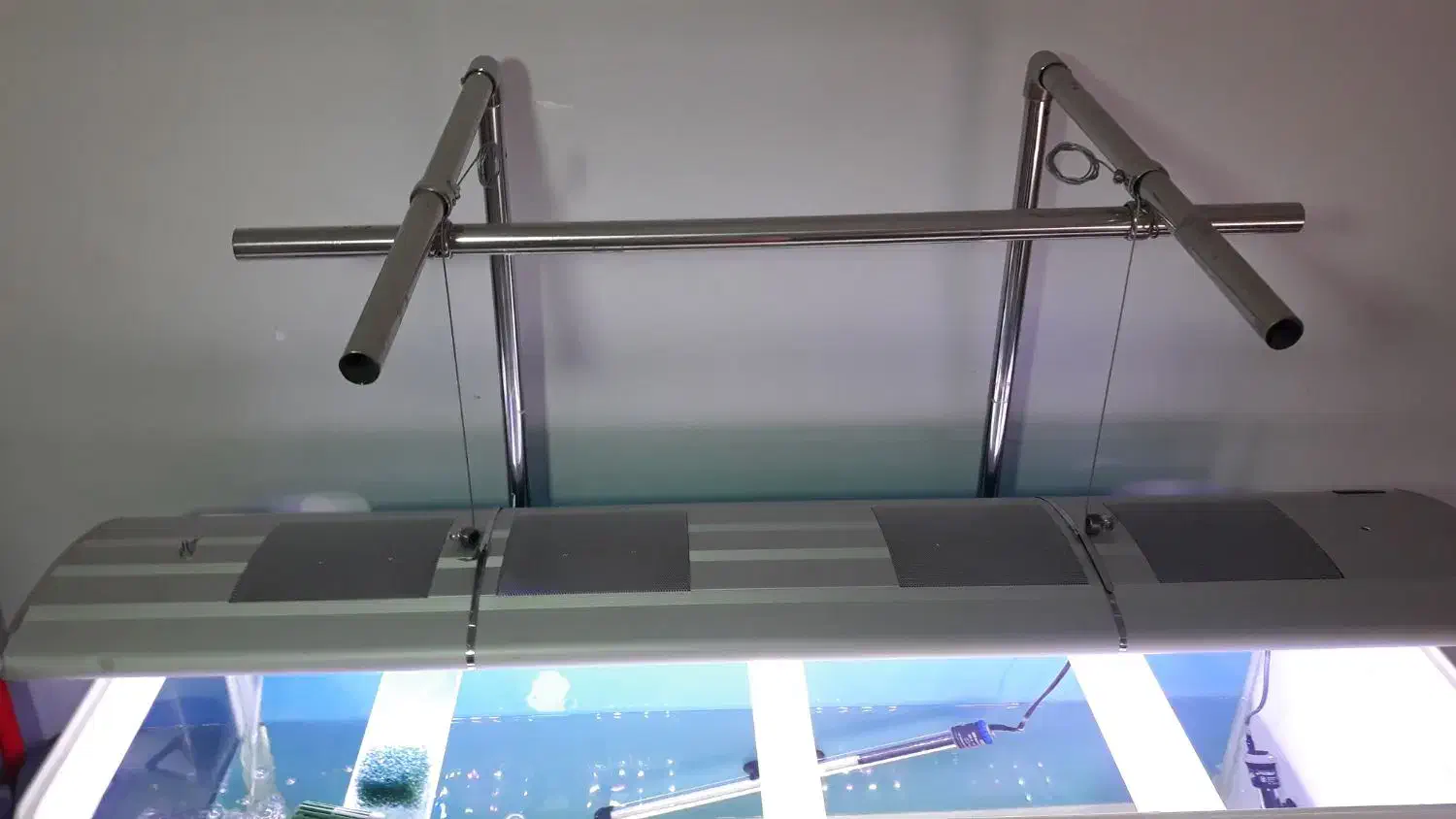 اکواریوم ۱۲۰ ماهیران|ماهی|کرج, باغستان|دیوار