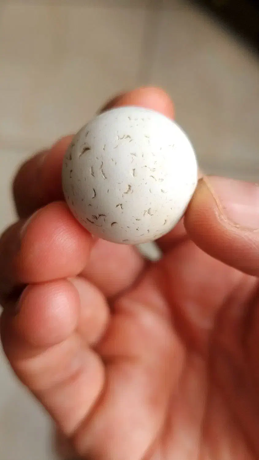 الماس آسیاب اصل سختی ۱۰ چگالی ۳.۵۲|جواهرات|شهرکرد, |دیوار