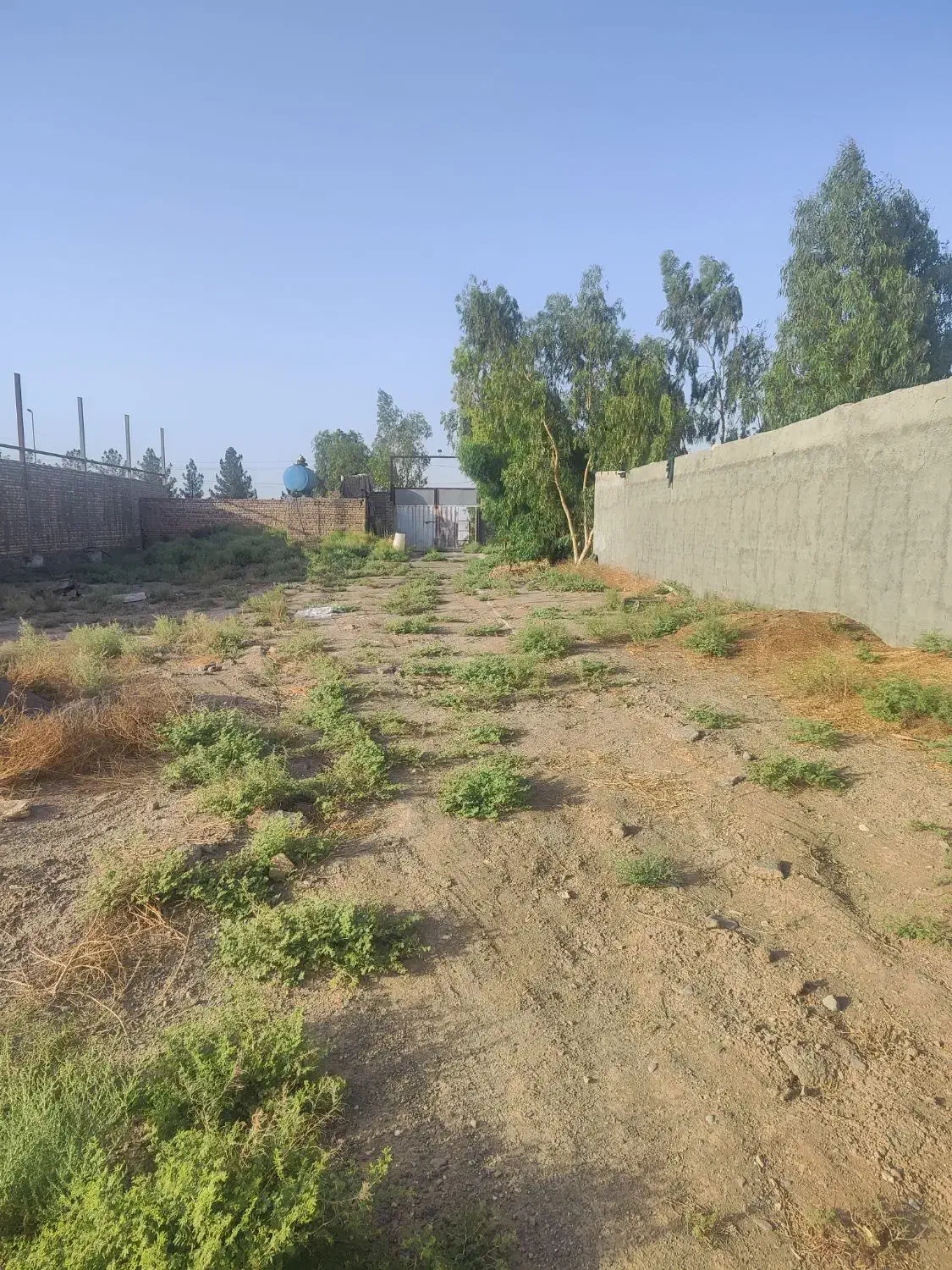 4دیواری فروشی قم قنوات بحر جاده 35متری سند تگ|فروش دفتر صنعتی، کشاورزی، تجاری|قم, بقیع|دیوار