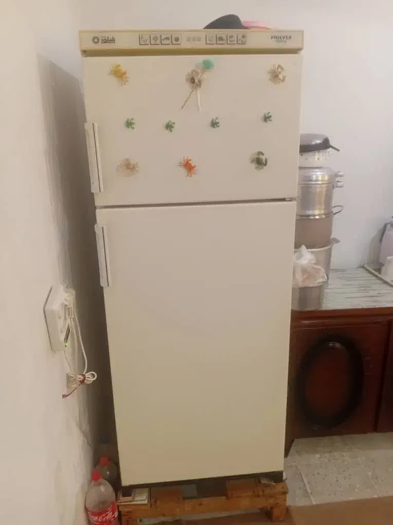 یخچال فیلور ۹ فوت|یخچال و فریزر|خشت, |دیوار