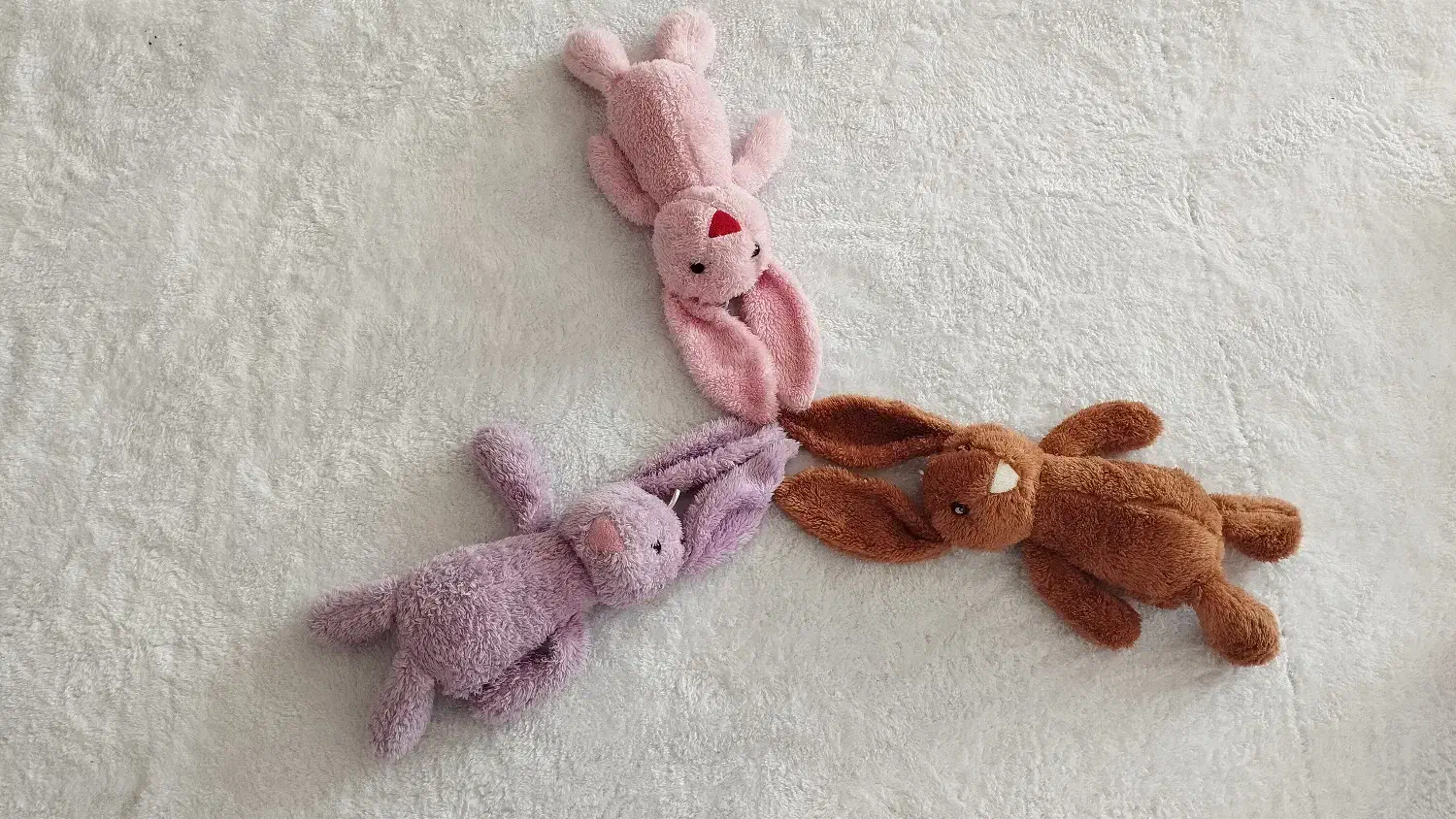 جیلی کت|اسباب‌بازی بچه|تربت‌حیدریه, طالقانی|دیوار