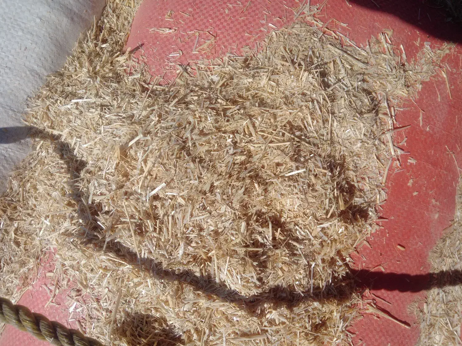 کاه گندم|لوازم جانبی حیوانات|زاهدان, |دیوار