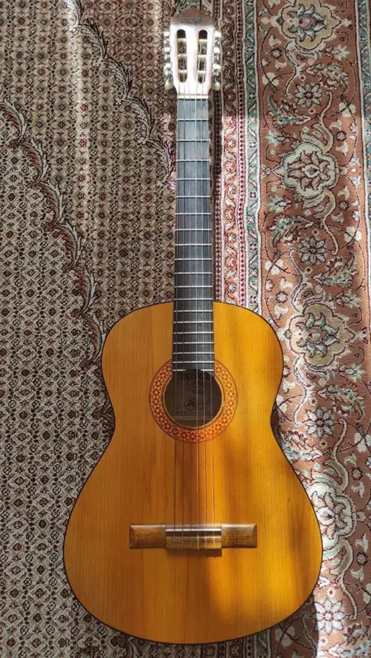 گیتار وفایی Mv3|گیتار، بیس، امپلیفایر|اصفهان, هزارجریب|دیوار