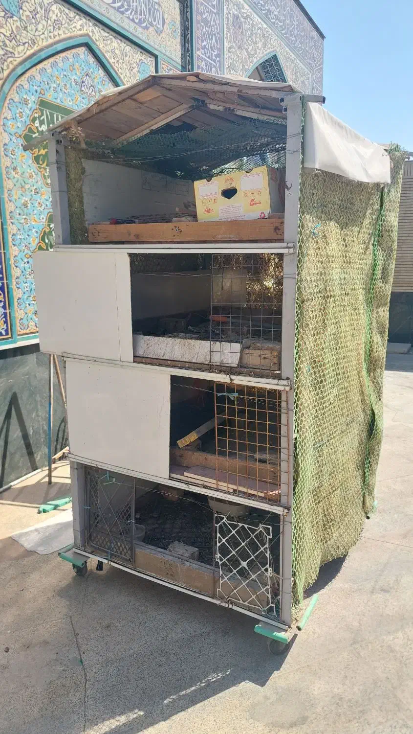 قفس مرغ چهار طبقه|لوازم جانبی حیوانات|اهواز, فاز ۱ پادادشهر|دیوار