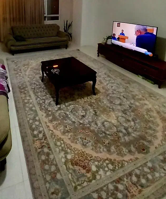 فرش ۹متر ۱۲۰۰ شانه گل برجسته|فرش|تهران, شاهین|دیوار