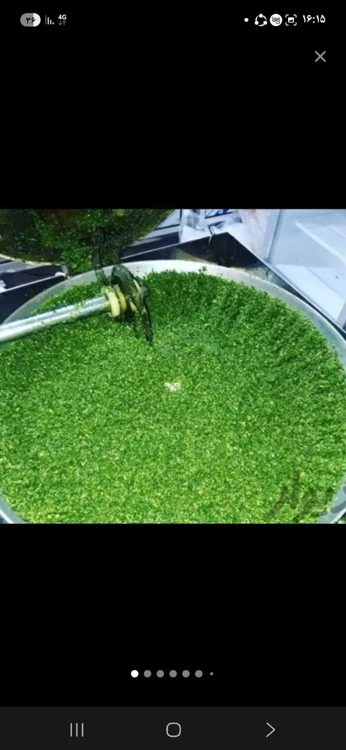 قرمه سبزی|خوردنی و آشامیدنی|تهران, آهنگ|دیوار