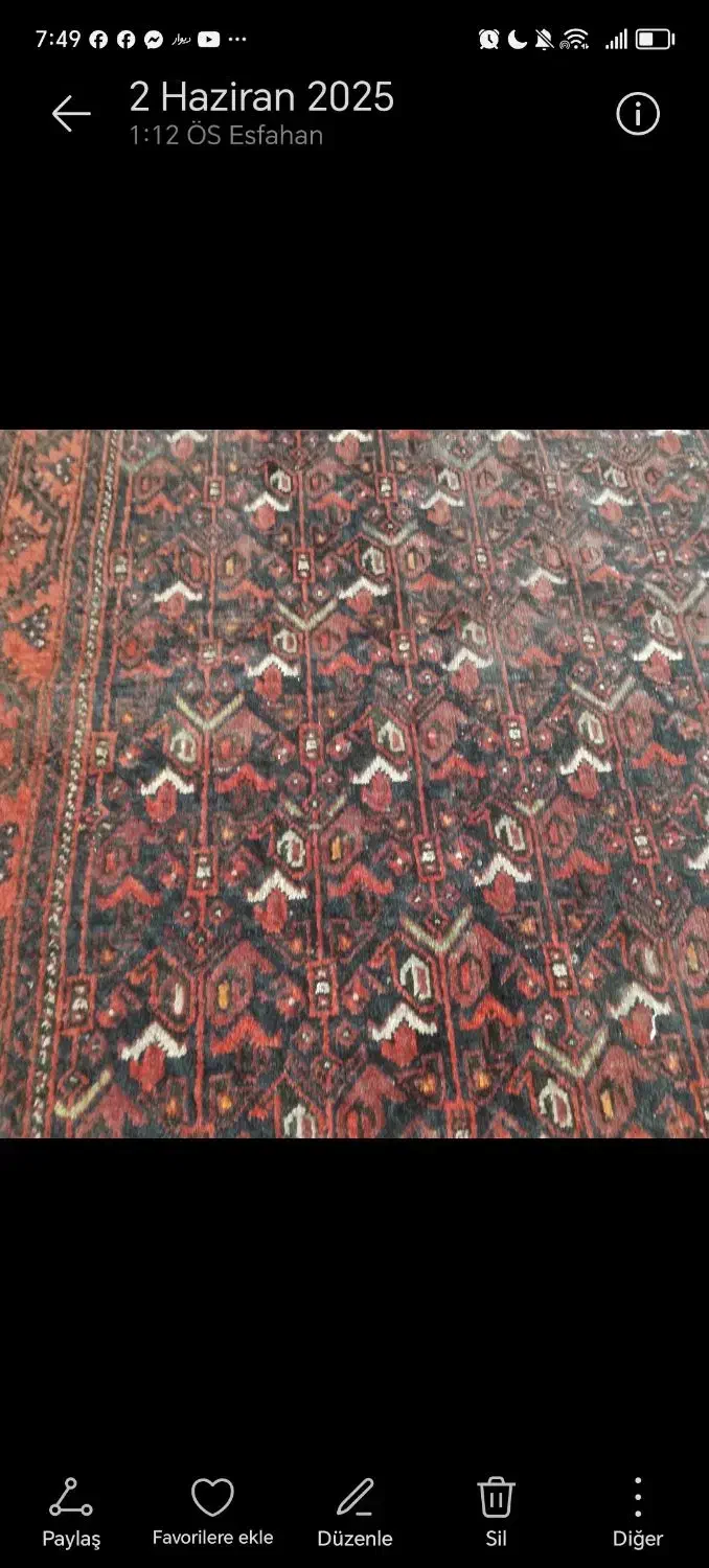 فرش کهنه سرتاسر زابل|فرش|خوی, |دیوار