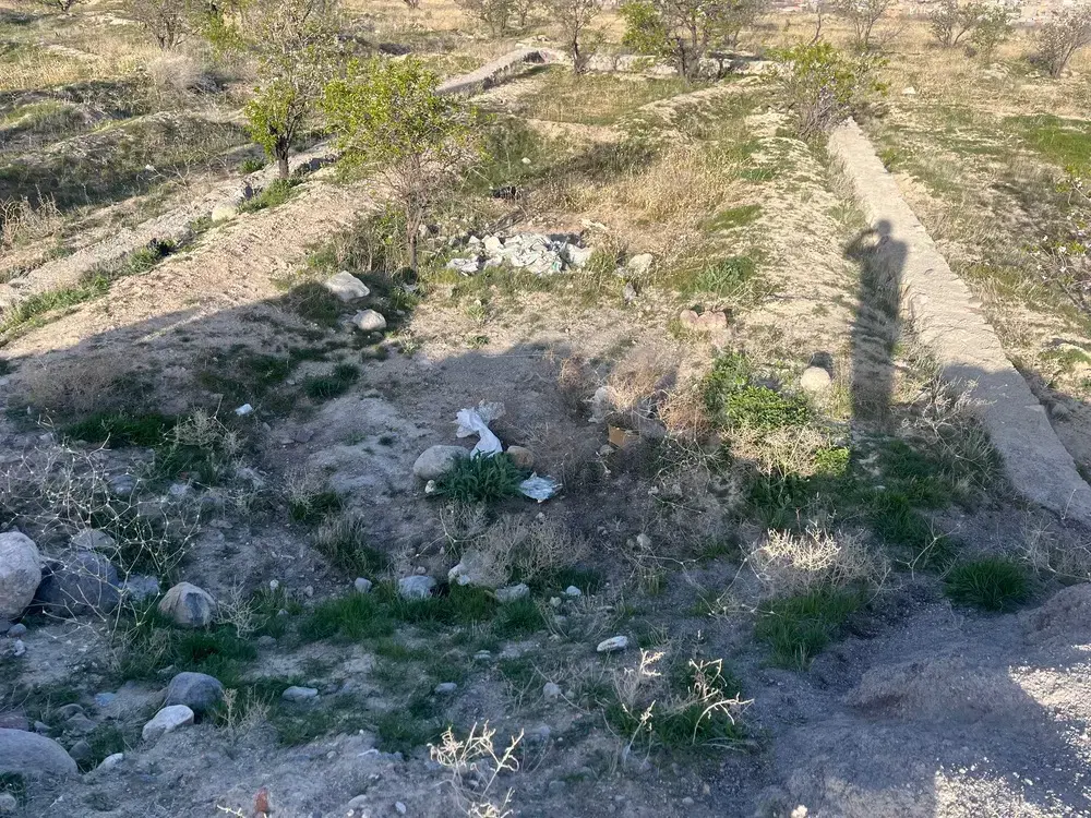 تصویر 7