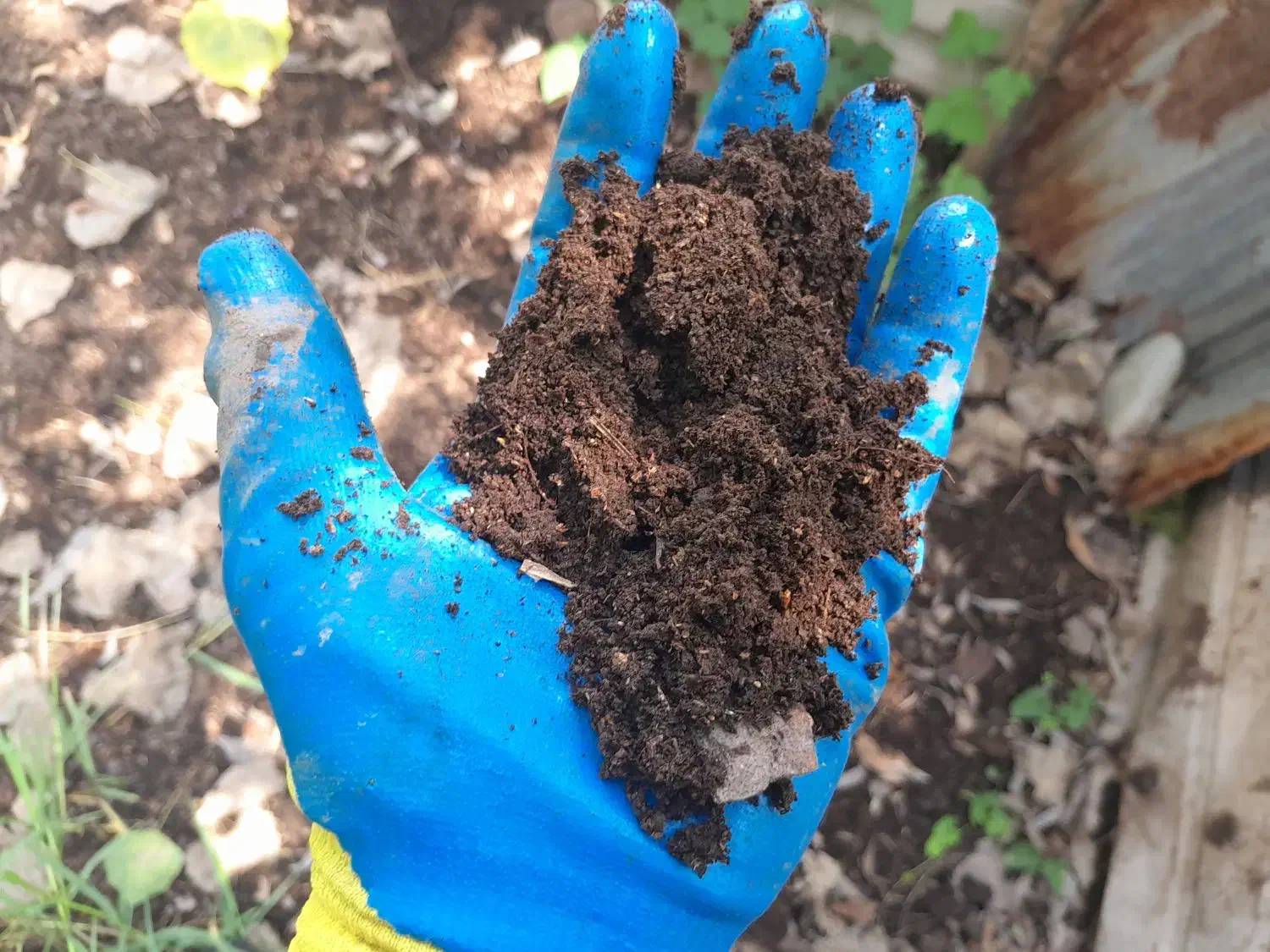 کود حیوانی|خدمات باغبانی و درختکاری|رشت, گلسار|دیوار