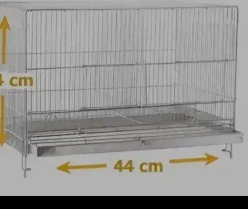 لونه عروس هلندی|لوازم جانبی حیوانات|لنجان, |دیوار