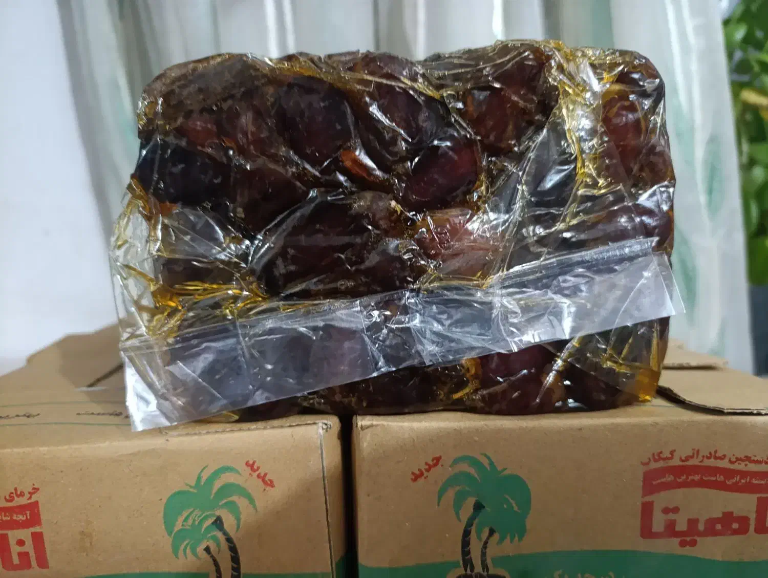 خرما درجه یک جنوب|خوردنی و آشامیدنی|سقز, |دیوار