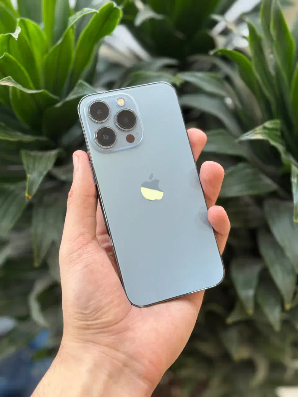 13pro 128 / ۱۳ پرو ابی|موبایل|تهران, تهرانپارس غربی|دیوار