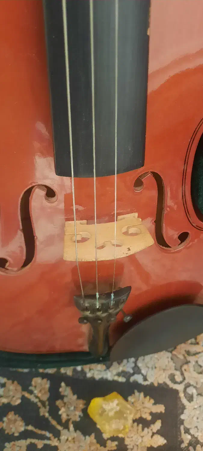 ویولن T.F 142 4/4|ویولن|شیروان (خراسان), |دیوار