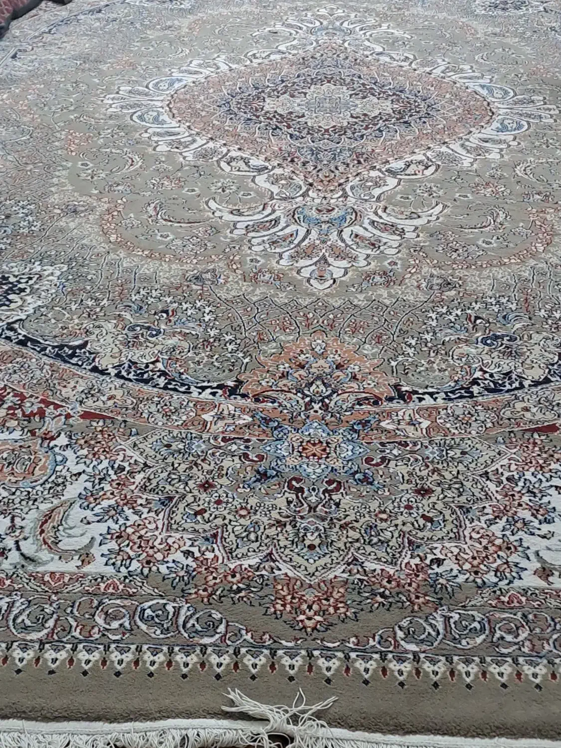 فرش ۱۲متری|فرش|بندر دیر, |دیوار