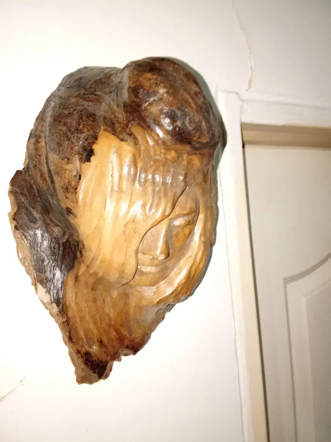 اشک چوب|مجسمه، تندیس، ماکت|تهران, خاک سفید|دیوار