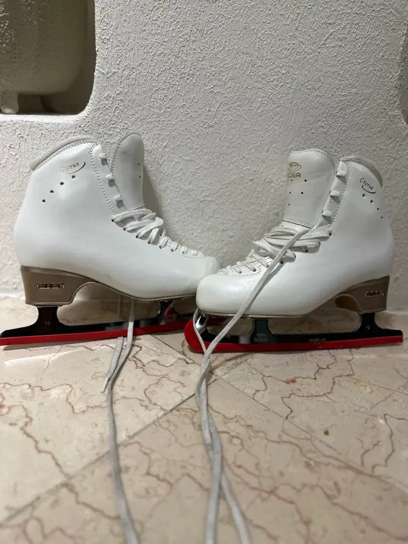 کفش پاتیناژ|ورزشهای زمستانی|تهران, تهرانپارس جنوبی|دیوار