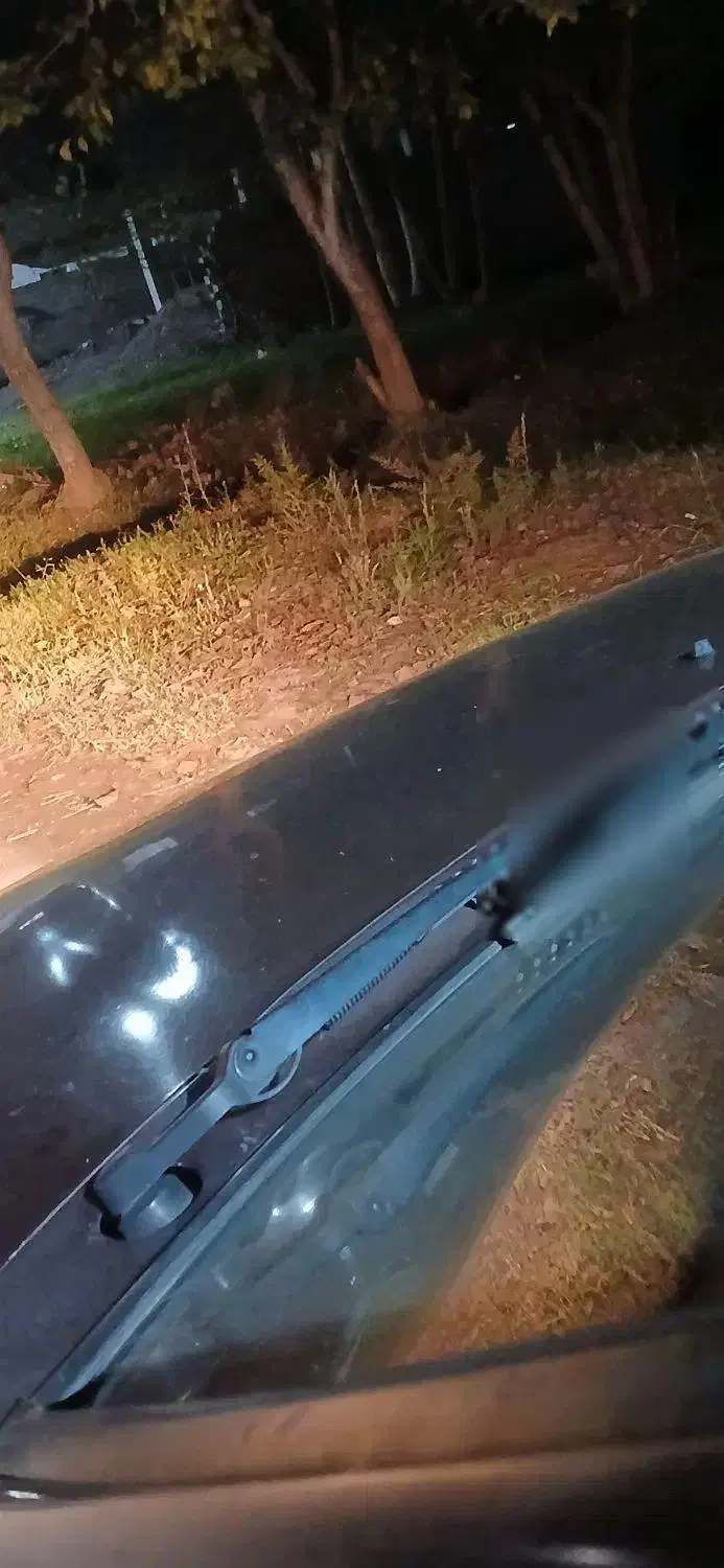 پراید تک مسی|خودرو سواری و وانت|لشت نشا, |دیوار