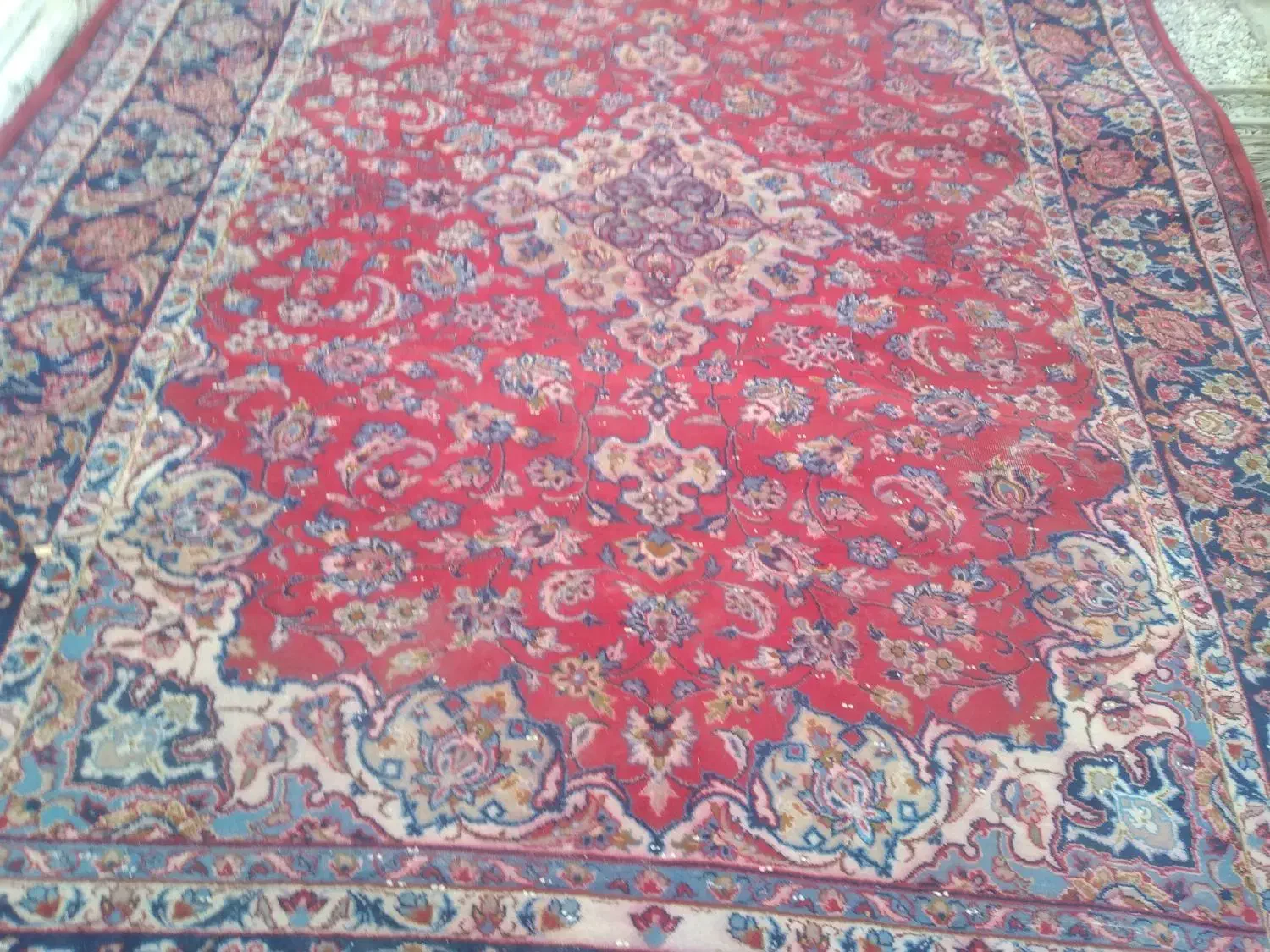 فرش،دست بافت|فرش|جهرم, |دیوار