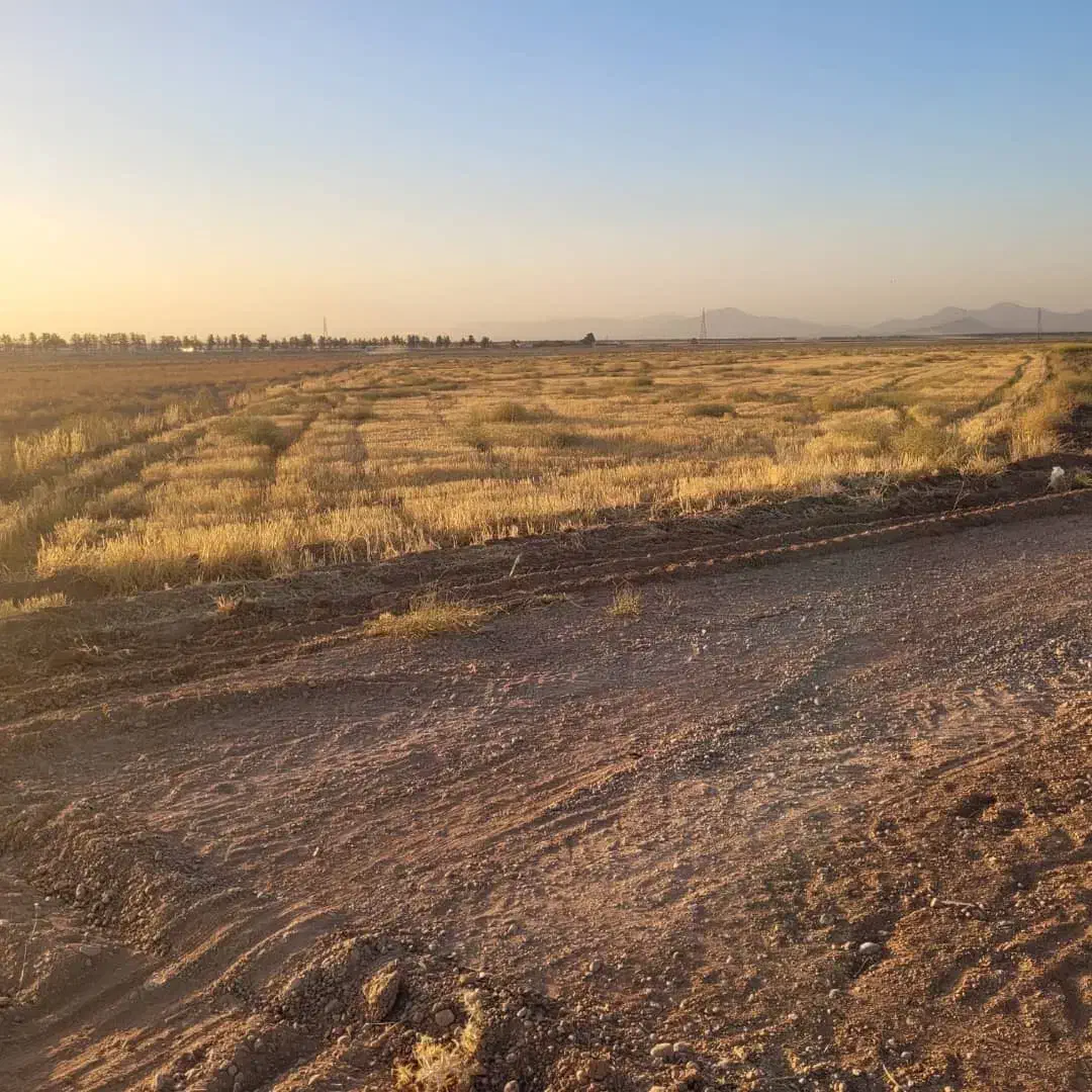 زمین کشاورزی با امکانات کامل|فروش زمین و ملک کلنگی|مبارکه, |دیوار