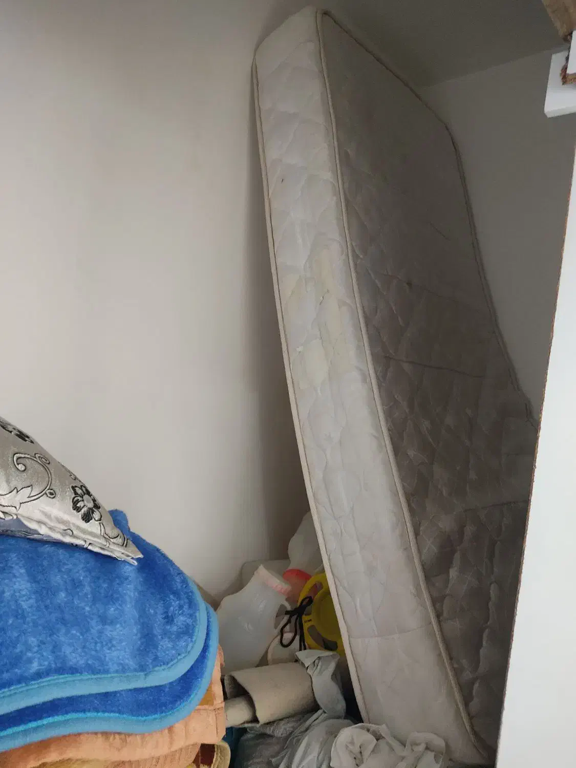 خوش خواب فروشی کسی خواست|تشک تختخواب|کاشمر, |دیوار