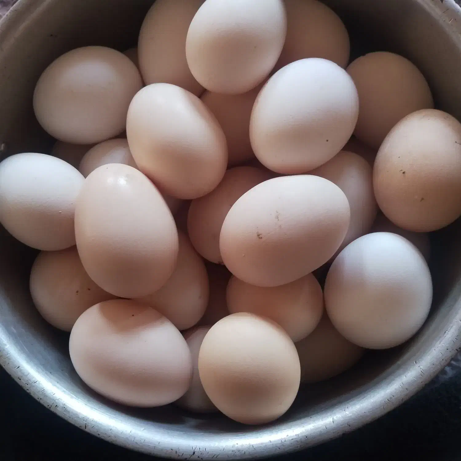 تخم مرغ محلی|خوردنی و آشامیدنی|دهگلان, |دیوار