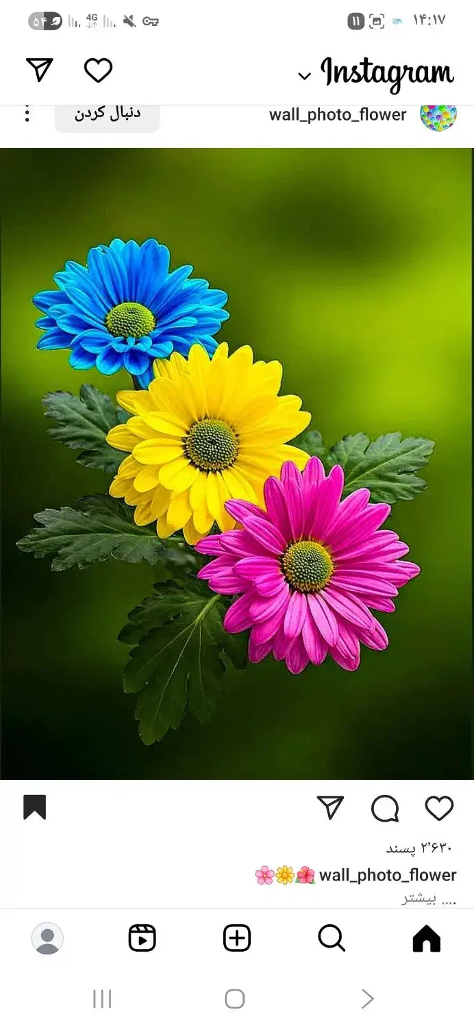 تعدادی لوازم منزل نو|سایر لوازم برقی|نیشابور, دهنو|دیوار