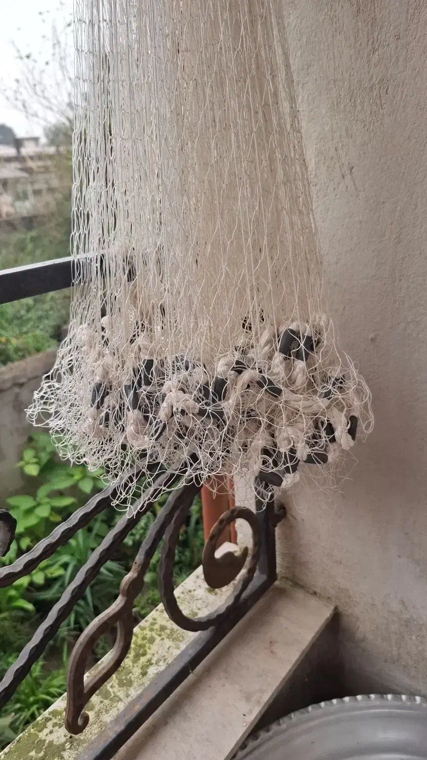 ماشک ماهیگیری|ماهیگیری|رشت, لاکان شهر|دیوار