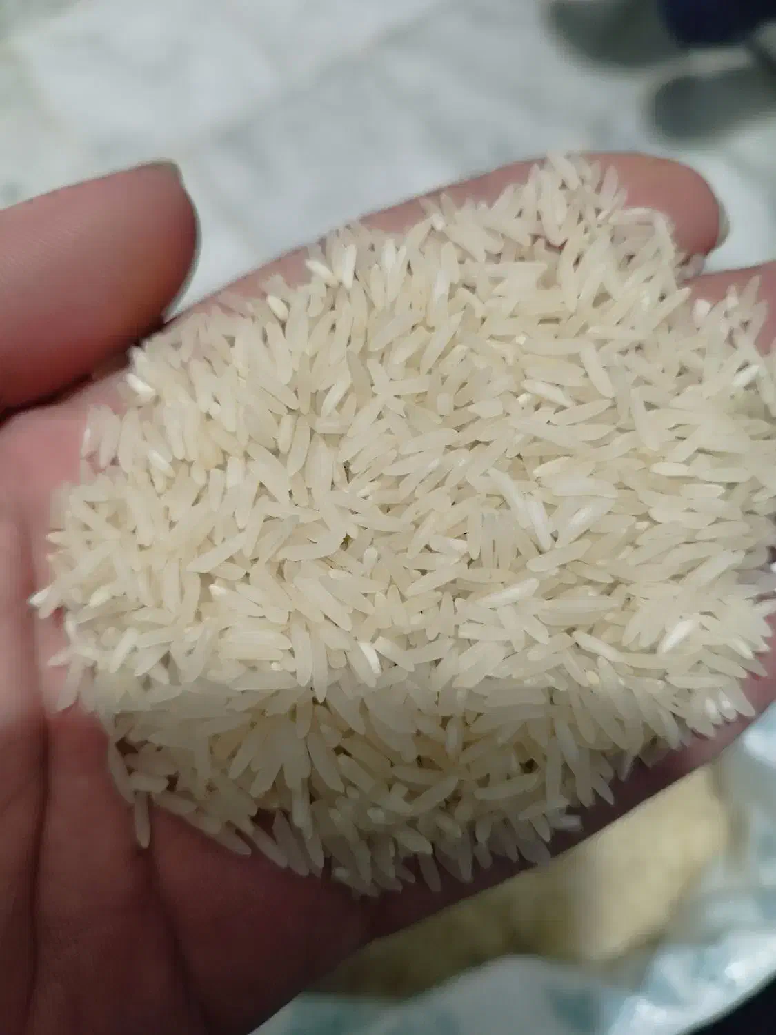 برنج فجر سوزنی درجه یک|خوردنی و آشامیدنی|گلستان (تهران), |دیوار