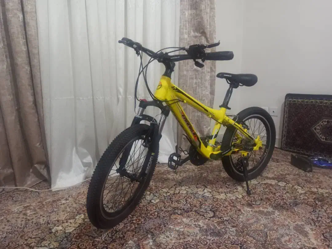 دوچرخه حرفه ای 20 کارنکرده درحد نو|دوچرخه، اسکیت، اسکوتر|تهران, باشگاه نفت|دیوار