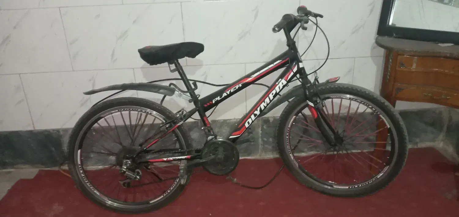 دوچرخه 24و 30لیتر روغن سوخته|دوچرخه، اسکیت، اسکوتر|شهریار, شهرک امیریه|دیوار