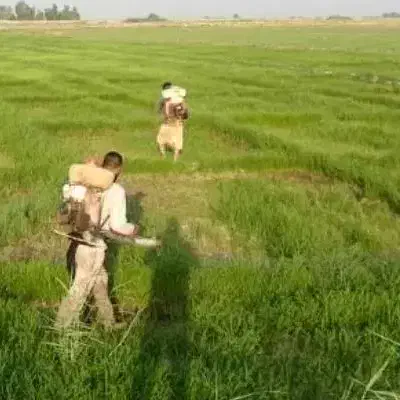 زمین شیبان جهت کارگاه و انبار و باغ ویلا و کارخانه|فروش دفتر صنعتی، کشاورزی، تجاری|اهواز, فدک|دیوار
