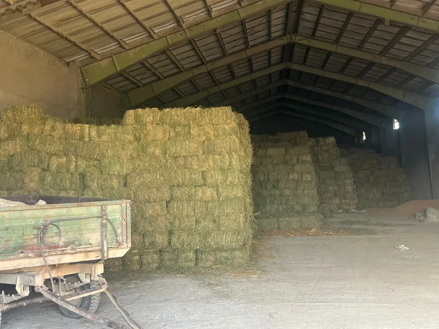 یونجه خشک انباری|خدمات باغبانی و درختکاری|بیله سوار, |دیوار